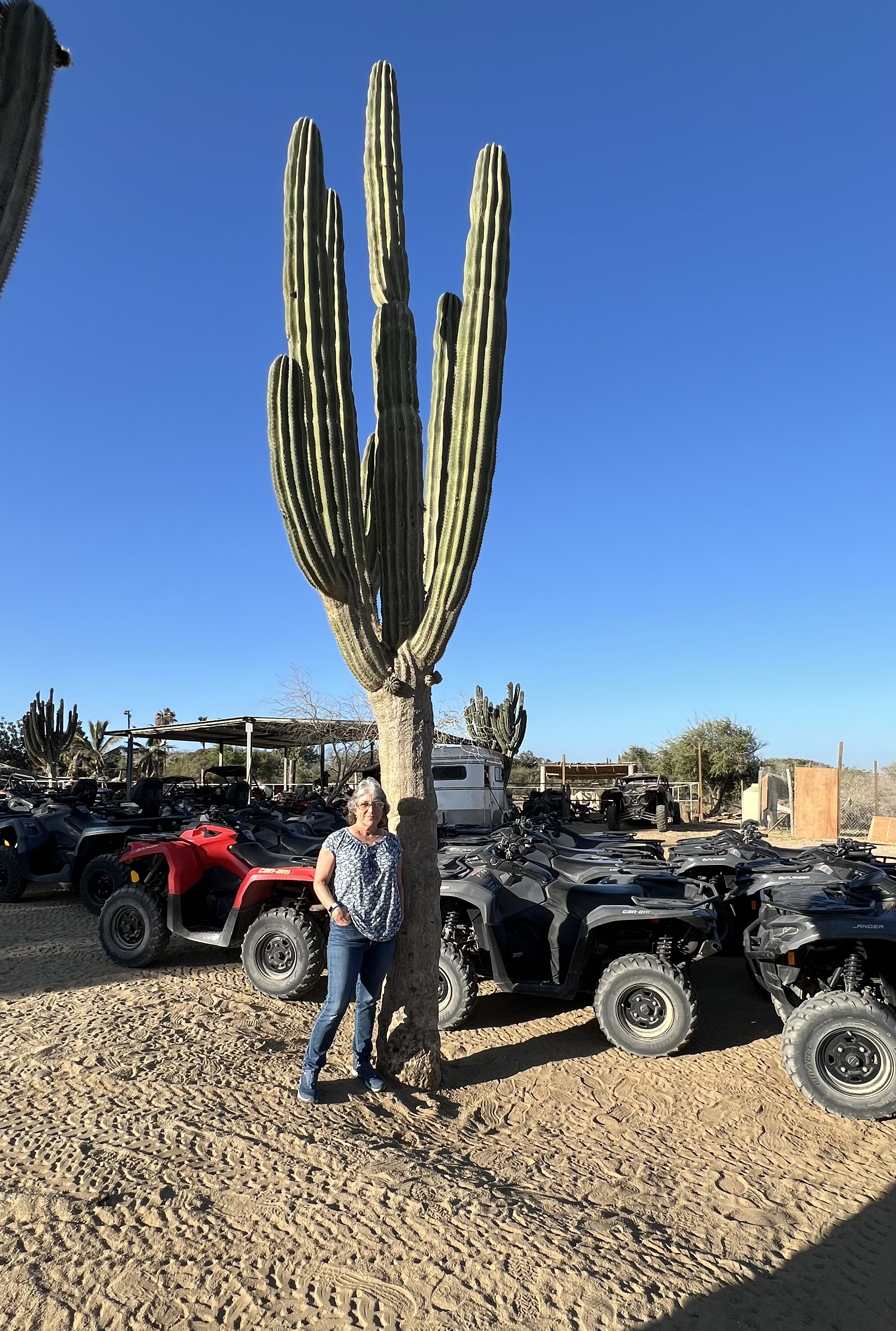 ./2024/13 - Cabo/IMG_E4363.jpg